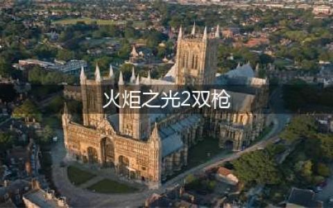 《火炬之光2》双枪漂泊者技能及装备选择讲解(火炬之光2双枪)