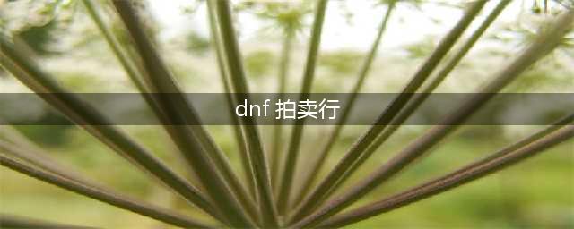 《DNF手游》拍卖行位置一览 韩服拍卖行在哪里(dnf 拍卖行)