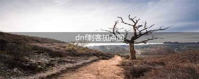 《DNF》刺客怎么加点 刺客加点分享(dnf刺客加点图)