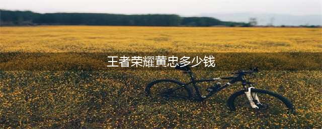 《王者荣耀》黄忠五虎将皮肤要多少钱 黄忠五虎将皮肤售价一览(王者荣耀黄忠多少钱)
