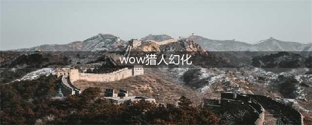 《魔兽世界》猎人幻化 猎人幻化推荐