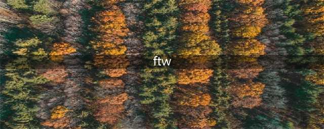 《泰拉瑞亚》ftw意思说明 ftw是什么意思