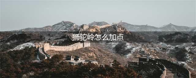 梦幻西游怎么给狮驼岭加点 狮驼岭加点技巧(狮驼岭怎么加点)