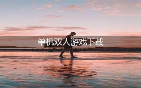 2022单机双人游戏合集下载大全 好玩的单机双人游戏有哪些(单机双人游戏下载)
