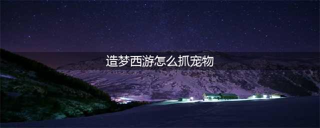 造梦西游4如何抓宠物 造梦西游4抓宠物方法介绍(造梦西游怎么抓宠物)