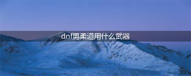 《DNF》男柔道武器选择推荐(dnf男柔道用什么武器)