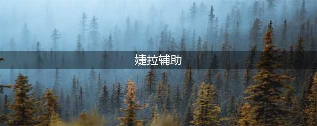 lol12.11版本辅助婕拉玩法出装推荐(婕拉辅助)
