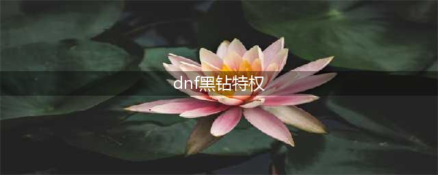 《dnf》黑钻是所有角色都有效吗(dnf黑钻特权)