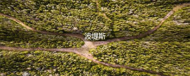《DNF手游》波堤斯怎么样 波堤斯属性效果一览(波堤斯)