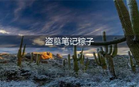 新盗墓笔记粽子一览(盗墓笔记粽子)