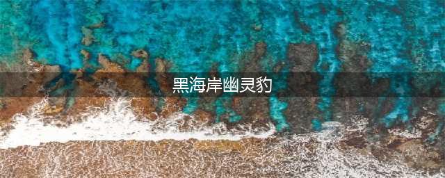 《魔兽世界怀旧服》幽灵豹在哪里 幽灵豹在哪捉(黑海岸幽灵豹)
