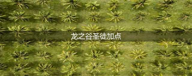 《龙之谷》手游圣徒纯奶刷图怎么加点 圣徒纯奶刷图加点攻略(龙之谷圣徒加点)