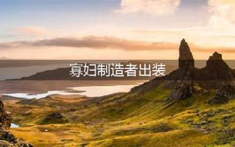 lol新版寡妇出装攻略 LOL新版寡妇怎么玩(寡妇制造者出装)