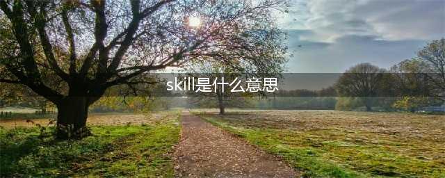 《符文之地传奇》Skill是什么 Skill词条含义解答(skill是什么意思)