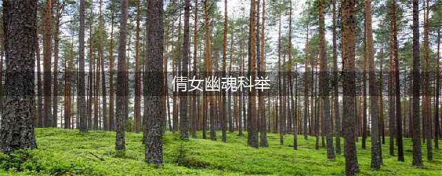 《倩女幽魂手游》科举答案大全