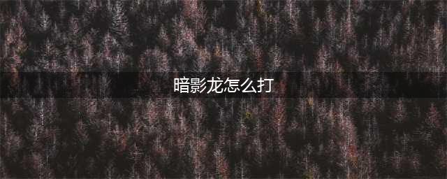 《梦幻西游手游》四洲纪行暗影龙怎么过 四洲纪行暗影龙攻略大全