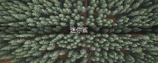 泰拉瑞亚迷你鲨怎么做