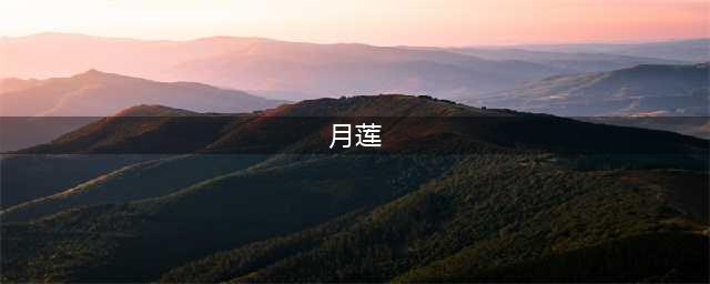 原神月莲在哪 月莲采集路线图一览