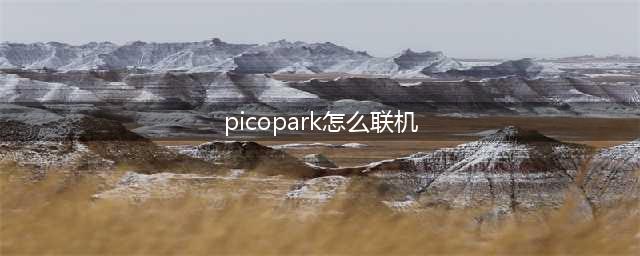 park如何联机？和好友一起玩联机方法 pico