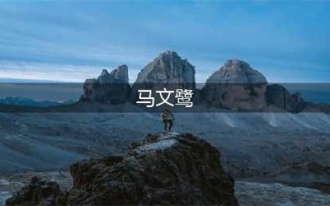 《三国志战略版》马云禄武将怎么样 马云禄怎么玩(马文鹭)