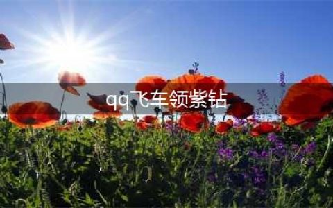 《QQ飞车》十年紫钻在线送活动(qq飞车领紫钻)