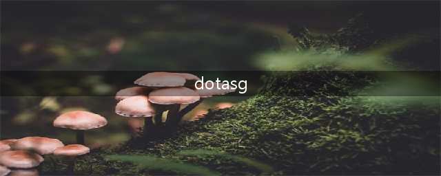 《DOTA》SG论坛揭秘 究竟是游戏的蛆虫还是助力(dotasg)