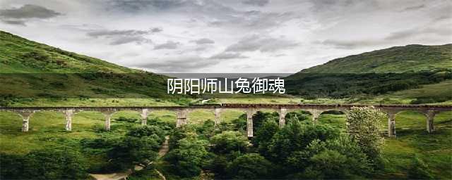 《阴阳师》SP山兔御魂怎么选 SP山兔御魂选择推荐(阴阳师山兔御魂)