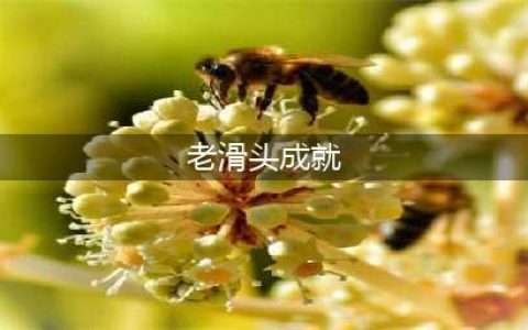 《魔兽世界》老滑头成就怎么达成 老滑头成就达成攻略(老滑头成就)