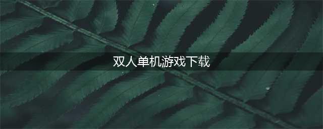 单机双人游戏下载安装合集2022 单机双人游戏下载安装榜单推荐(双人单机游戏下载)