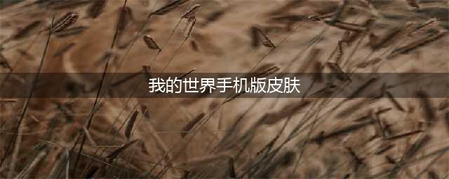 《我的世界》换皮肤方法 怎么换皮肤手机版(我的世界手机版皮肤)