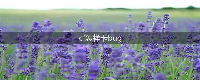 CF老城区BUG怎么卡 老城区卡BUG技巧介绍大全(cf怎样卡bug)