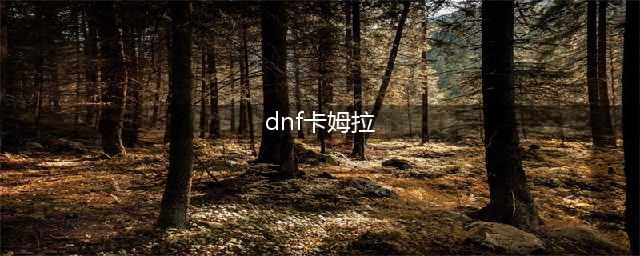 dnf100级称号附魔宝珠有哪些(dnf卡姆拉)