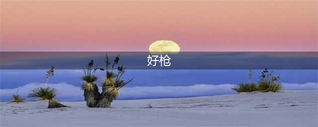 无敌版修改器辅助《爆枪英雄》好号和密码大全(好枪)
