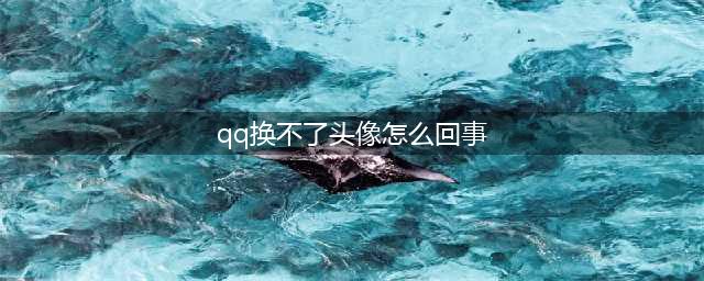 qq为什么不能换头像了 qq不能换头像的原因/什么时候能换(qq换不了头像怎么回事)