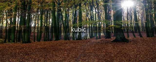 《kubic》安卓版在哪下载 官网安卓版下载地址(kubic)