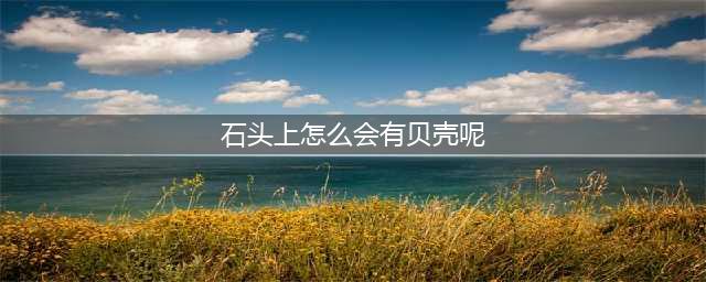 《阴阳师》荒川之战贝壳石头怎么样 荒川之战贝壳石头属性一览(石头上怎么会有贝壳呢)