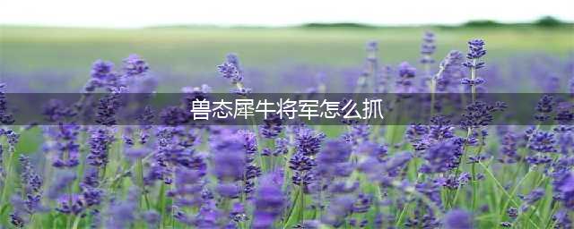 梦幻西游兽态犀牛将军怎么抓 兽态犀牛将军捕捉方法