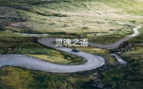 《魔兽世界》怀旧服灵魂之语任务攻略