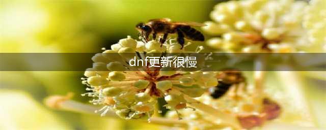 dnf手游韩服更新慢解决方法