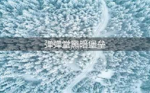 《弹弹堂大冒险》黑暗堡垒第二关攻略