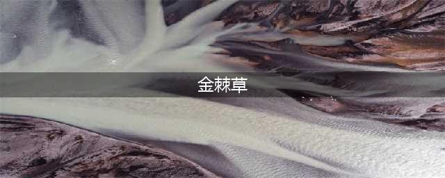 魔兽世界怀旧服金棘草哪里多 怀旧服金棘草刷新地点位置介绍
