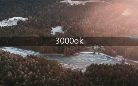 3000ok网通传奇中变好玩吗 3000ok网通传奇中变玩法简介