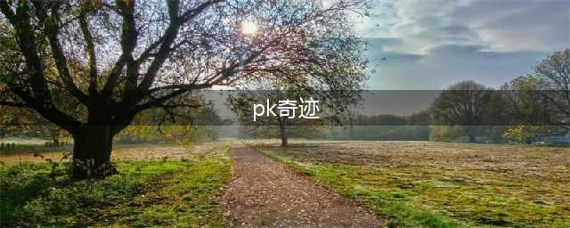 奇迹MU职业PK技能分析 奇迹mupk职业用什么