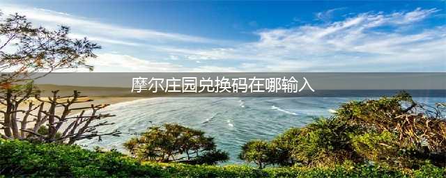 《摩尔庄园》兑换码在哪输入 兑换码使用方法攻略