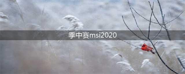 《LOL》2020MSI季中冠军赛什么时候开赛 2020MSI季中冠军赛比赛时间