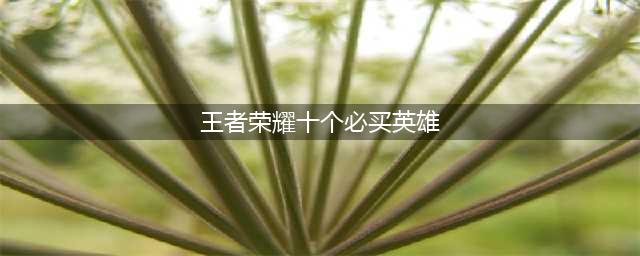 王者荣耀十个必买英雄推荐(王者荣耀十个必买英雄)