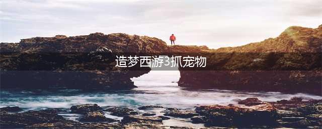 《造梦西游3》宠物怎么抓 造梦西游3抓宠物技巧(造梦西游3抓宠物)