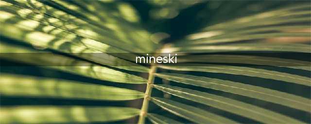 《DOTA2》TI8 Mineski 战队介绍(mineski)