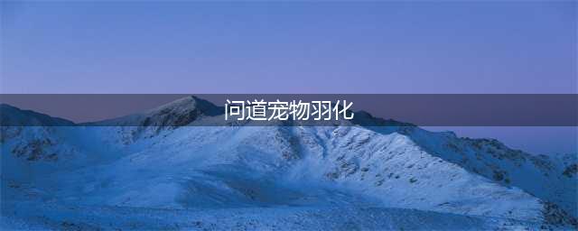 问道宠物羽化攻略 问道宠物羽化任务流程(问道宠物羽化)