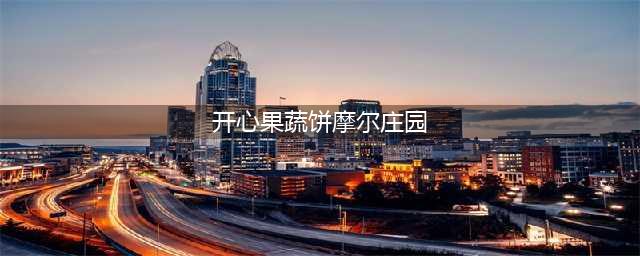 摩尔庄园开心果蔬饼怎么做 开心果蔬饼菜谱制作方法(开心果蔬饼摩尔庄园)